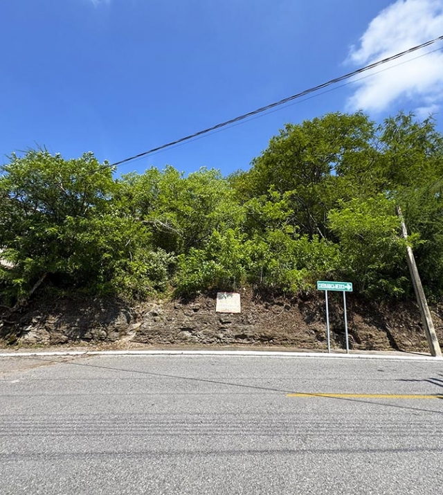 TERRENO CALLE SAN CARLOS MZA 17 LT 16 1.jpg